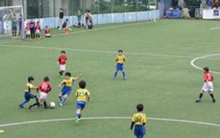 小学生足球用哪款球拍好，小学生足球用什么牌子好